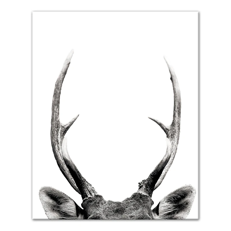 Peeking Deer  16" x 20" Canvas Wall Art