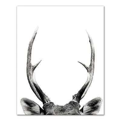 Peeking Deer  16" x 20" Canvas Wall Art