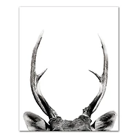 Peeking Deer  16" x 20" Canvas Wall Art