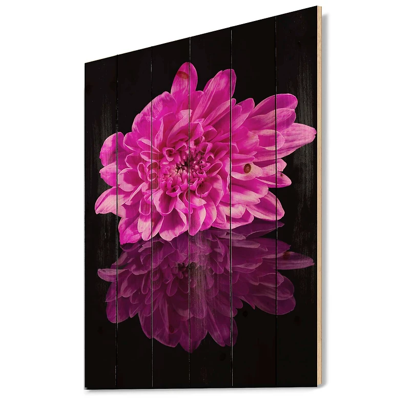 Designart - Single Chrysanthemum Flower On Black Reflection