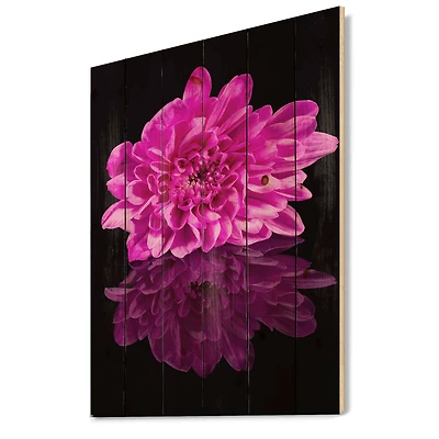 Designart - Single Chrysanthemum Flower On Black Reflection