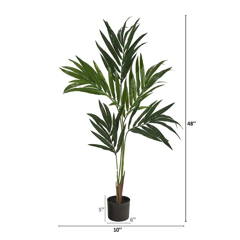 4ft. Potted Kentia Palm Tree