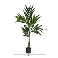 4ft. Potted Kentia Palm Tree