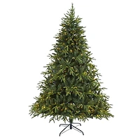 7.5ft. Pre-Lit Colorado Mountain Fir Artificial Christmas Tree, Clear LED Lights