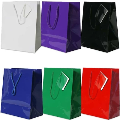 JAM Paper Assorted Glossy Gift Bags with Rope Handles, 6ct.