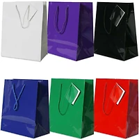 JAM Paper Assorted Glossy Gift Bags with Rope Handles, 6ct.