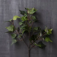 24 Pack: Floral Essentials English Ivy Spray by Ashland®