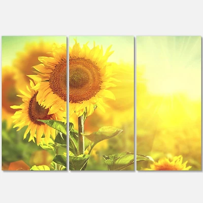 Designart - Sunflowers blooming on the field