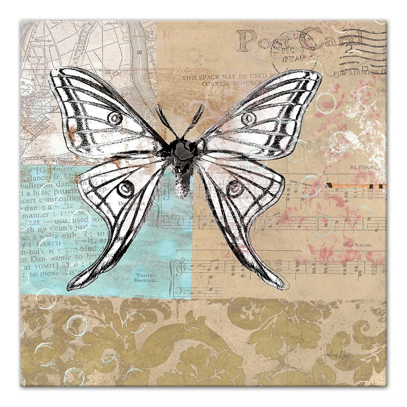 Midday Flight 20" x 20" Canvas Wall Art