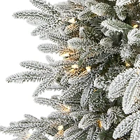 5.5ft. Pre-Lit Manchester Spruce Artificial Christmas Tree, Clear LED Lights