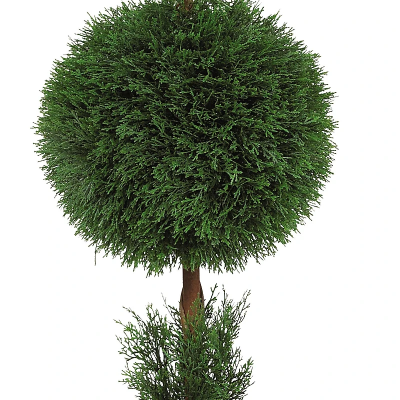 5ft. Potted Cypress Ball & Cone Tree