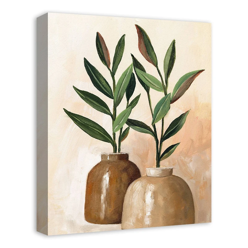 Organic Jars 16" x 20" Canvas Wall Art
