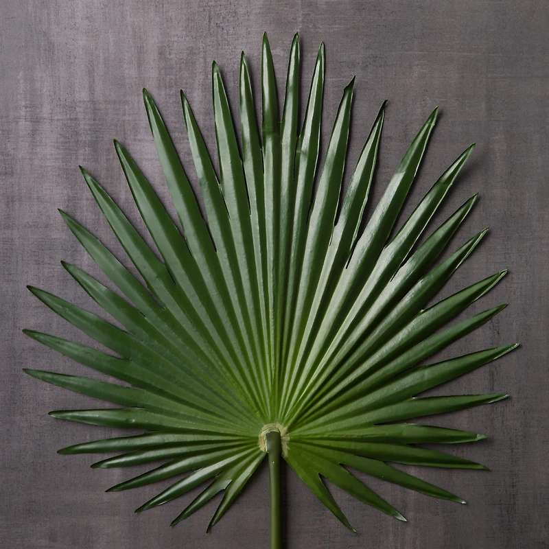Tropical Fan Palm Stem by Ashland®