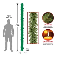 9 ft. Kincaid Spruce Christmas Garland 