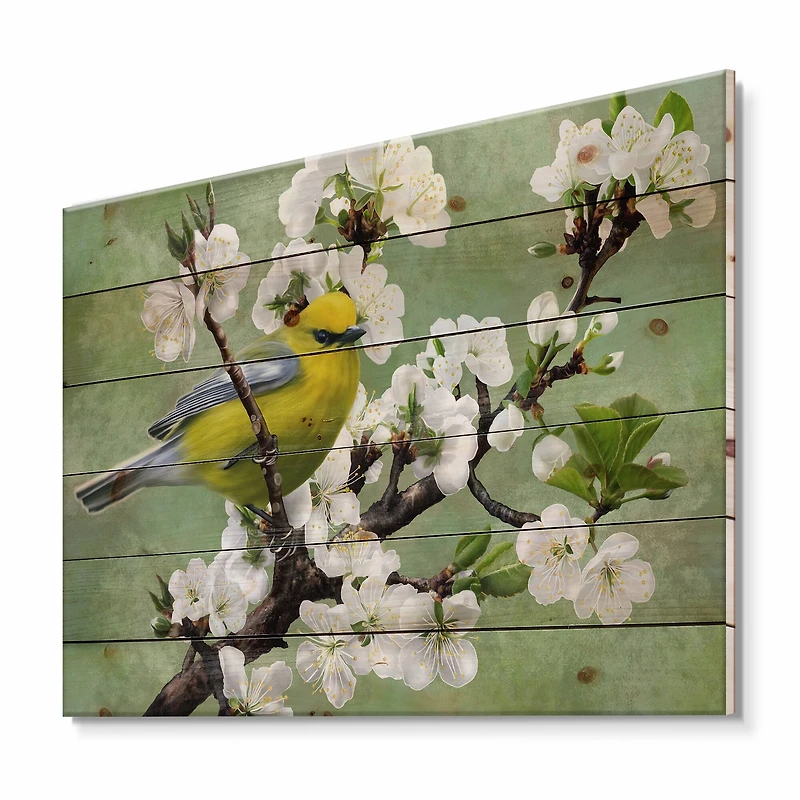 Designart - Bird On A Branch of Cherry