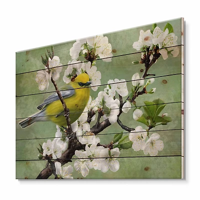 Designart - Bird On A Branch of Cherry