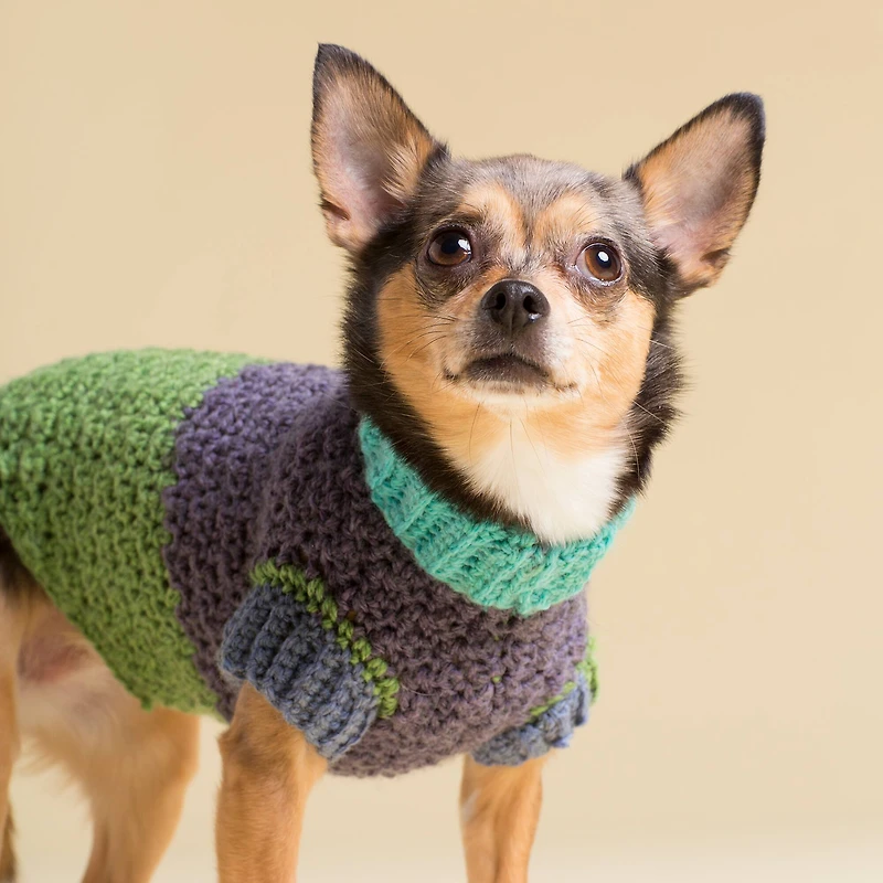 Caron® Chunky Cakes™ Yarn