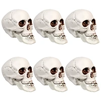 3.5'' Skull Head Halloween Decorations, 6ct.