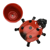Hello Honey® 3" Stoneware Ladybug Planter