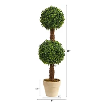 2ft. Boxwood Double Ball Topiary Tree in Cream Planter