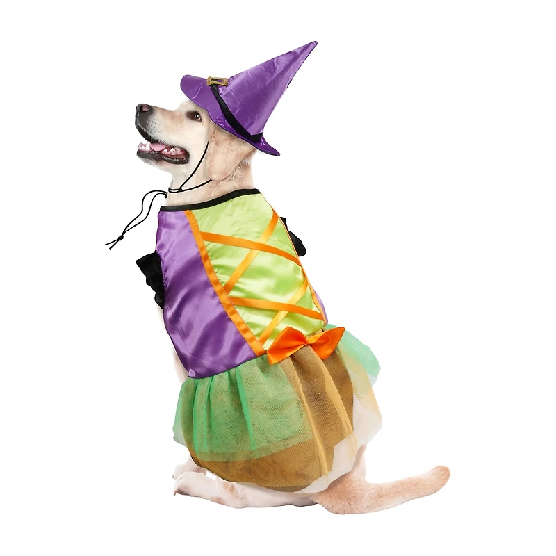 Best Furry Friends Witch Dress Pet Costume