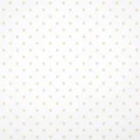 Gold Dot Transparent Packaging Wrap by Celebrate It™