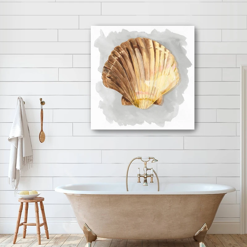 Shells On Grey V Canvas Giclee