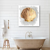Shells On Grey V Canvas Giclee