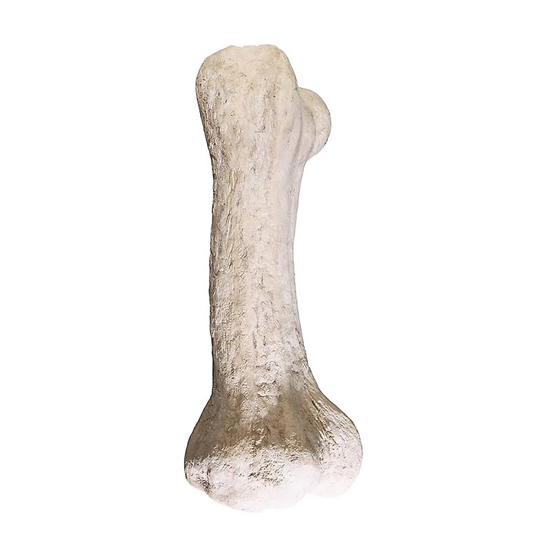 Design Toscano 3.5ft. Gigantic Dinosaur Bone Sculpture