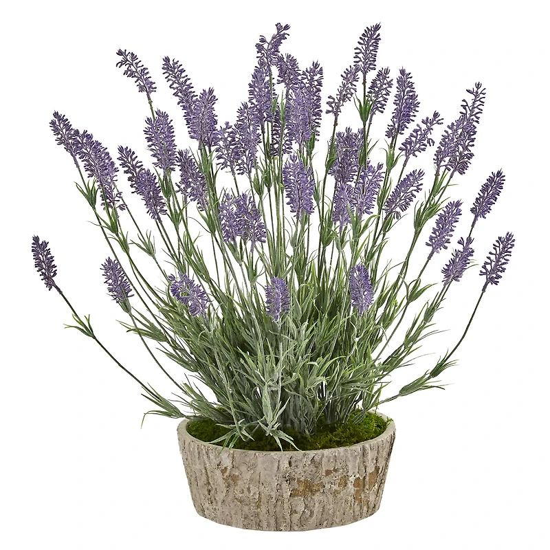20in. Lavender Plant in Weathered Oak Planter