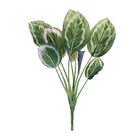 21.5" Prayer Plant Foliage Bushes, 6ct.