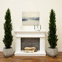 6ft. Potted UV Resistant Topiary Cedar Trees, 2ct.