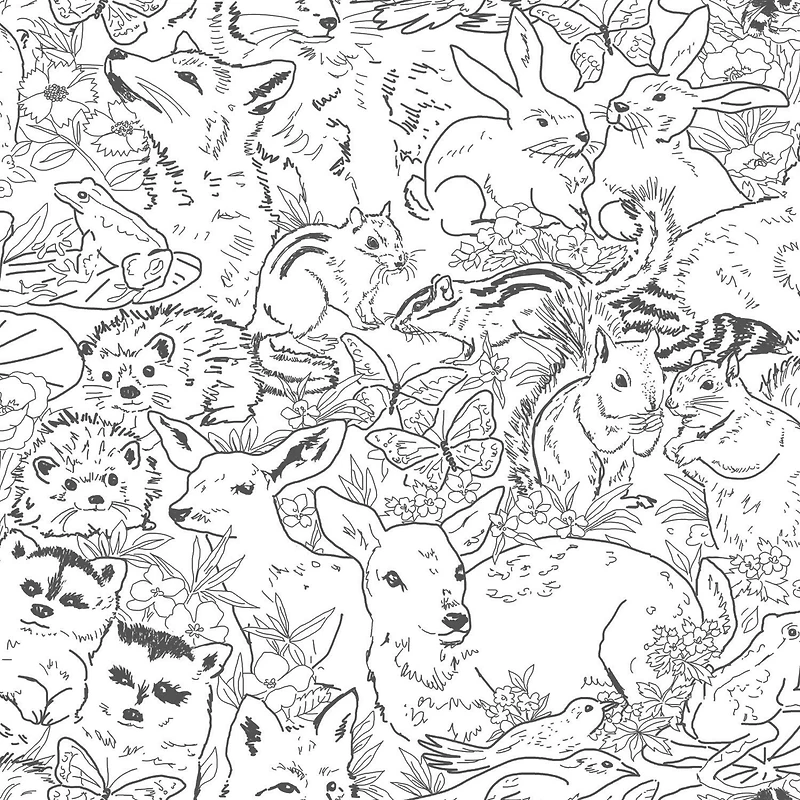 RoomMates Woodland Sketch Peel & Stick Wallpaper