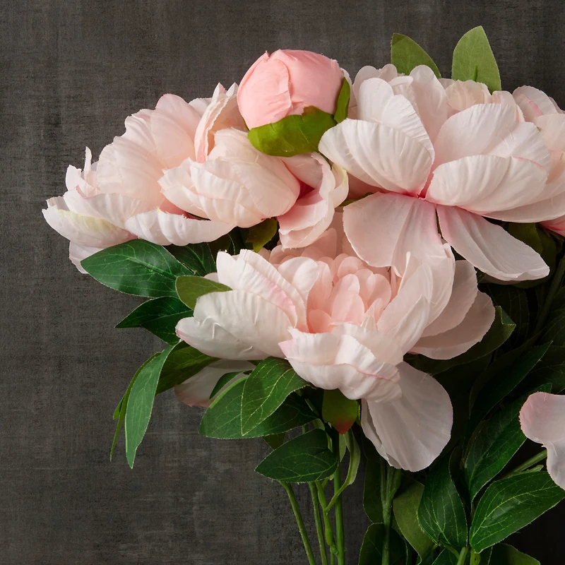 Coral Peony Bush by Ashland®