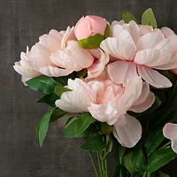 Coral Peony Bush by Ashland®