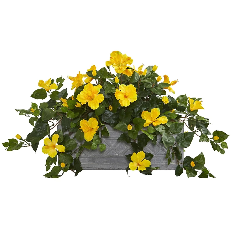 18" Yellow Hibiscus Plant in Stone Planter