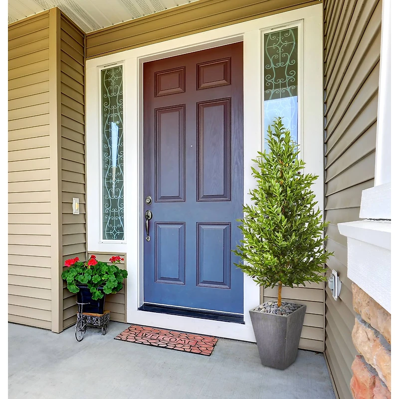 5.5ft. Olive Cone Topiary Tree in Slate Planter