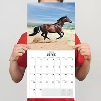 TF Publishing 2025 Horses Wall Calendar