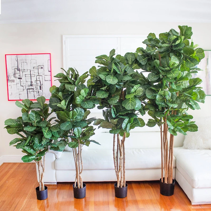 5ft. Potted Fiddle Leaf Fig Tree