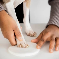 Pearhead Pawprint Keepsake