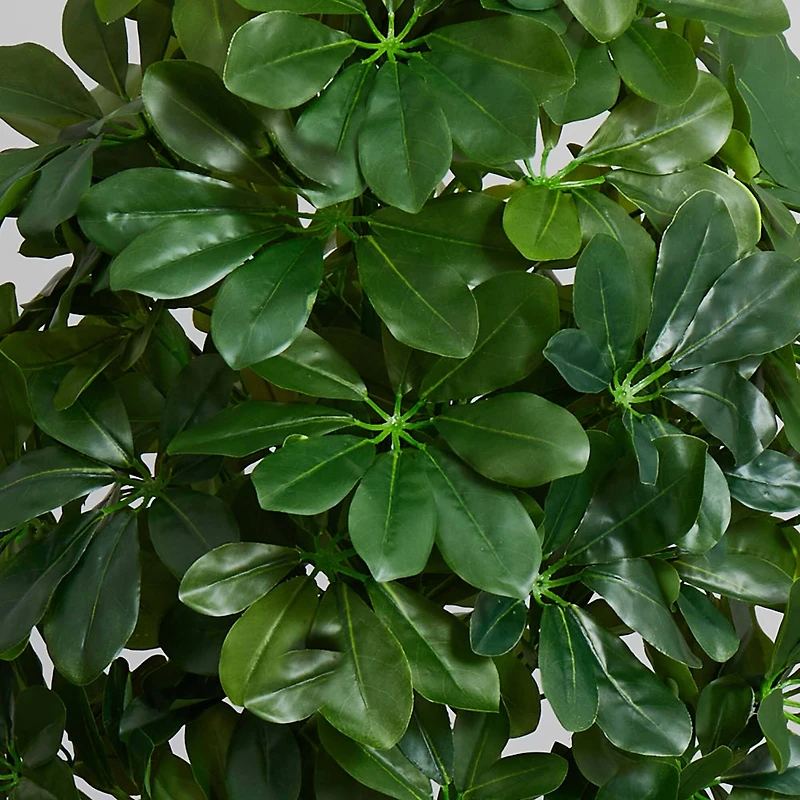 3ft. Umbrella Tree in White Vase