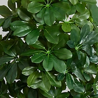 3ft. Umbrella Tree in White Vase