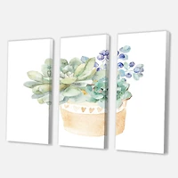 Designart - Succulent Flower In Terracotta Pot II