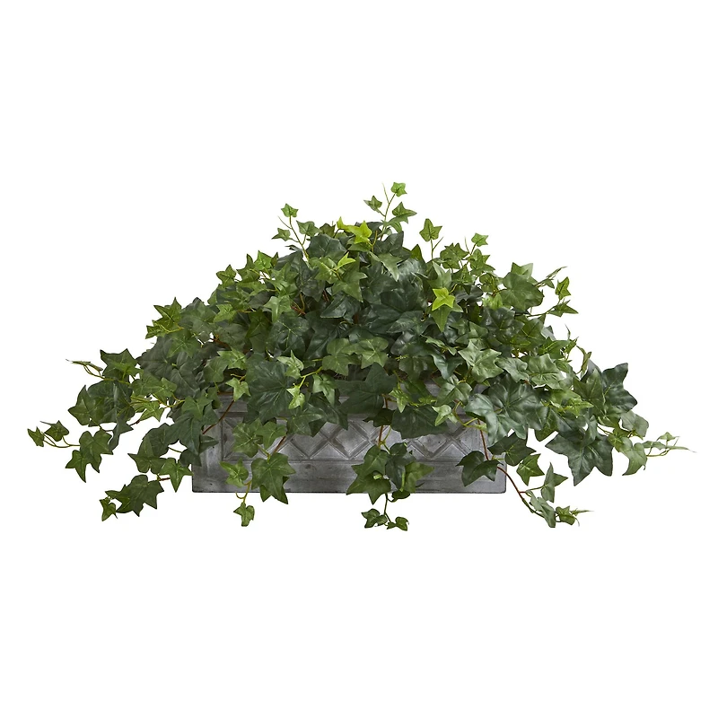 20" Puff Ivy Plant in Stone Planter