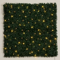 40" Pre-Lit Warm White LED Boxwood Artificial Living Wall Panel