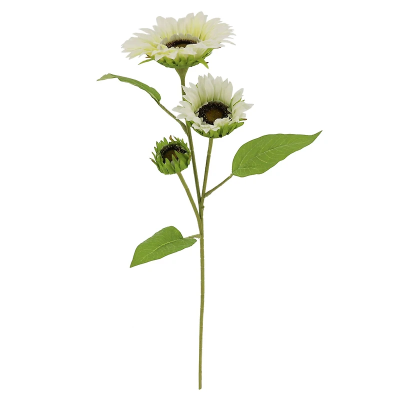 34" Cream Sunflower Stem by Ashland®