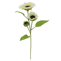 34" Cream Sunflower Stem by Ashland®