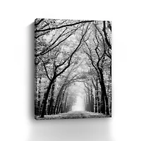 Cathedral Forest Canvas Giclee