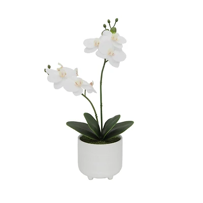 Flora Bunda® 16" Real-Touch Orchid Barcode In Ceramic Footed Pot