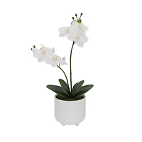Flora Bunda® 16" Real-Touch Orchid Barcode In Ceramic Footed Pot